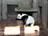 To&nbsp;be&nbsp;a&nbsp;Panda?&nbsp;No&nbsp;fun