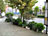 Plants&nbsp;every&nbsp;where