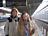 Hey&nbsp;man&nbsp;we´l&nbsp;gona&nbsp;ride&nbsp;the&nbsp;Shinkansen