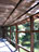 Mirroring&nbsp;water&nbsp;is&nbsp;a&nbsp;part&nbsp;of&nbsp;the&nbsp;zen&nbsp;garden