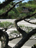 This&nbsp;stone&nbsp;garden&nbsp;is&nbsp;best,&nbsp;according&nbsp;to&nbsp;the&nbsp;folde,&nbsp;in&nbsp;moonlight