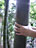 serious&nbsp;Bamboo