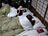 Phew&nbsp;now&nbsp;we&nbsp;are&nbsp;on&nbsp;our&nbsp;own&nbsp;again&nbsp;without&nbsp;servants&nbsp;as&nbsp;at&nbsp;the&nbsp;Ryokan