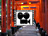 (1.4&nbsp;Mb)&nbsp;And&nbsp;then&nbsp;a&nbsp;little&nbsp;on&nbsp;video&nbsp;:-)